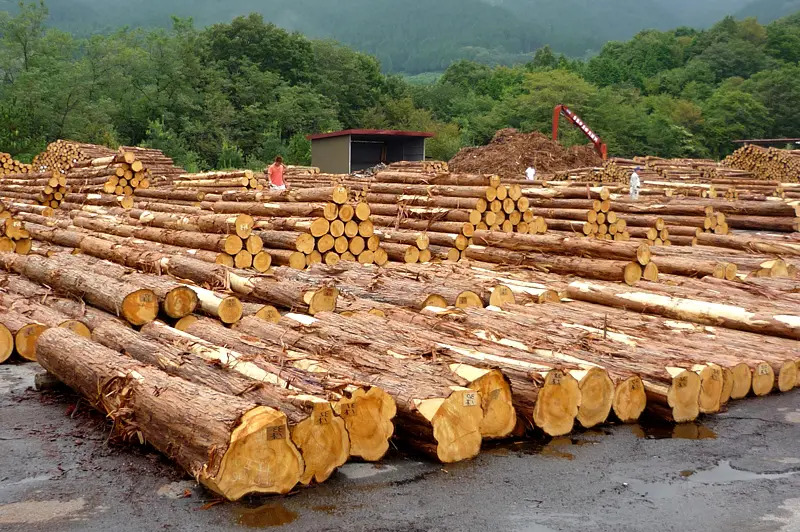 効果 性能 Mokkun