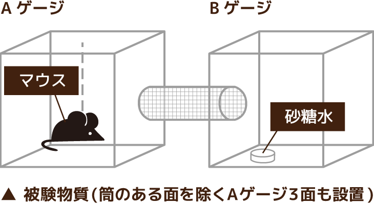 Mokkunには蚊をよける力があるのか Mokkun Lab Mokkun